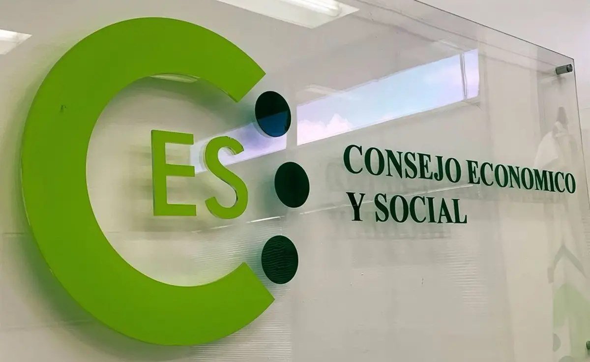 Consejo Económico y Social (CES)