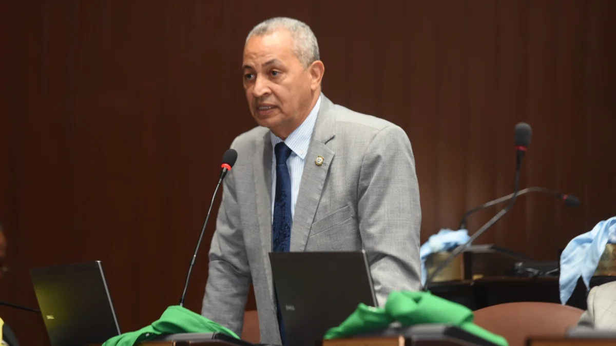 Imagen relacionada con: Diputado Pedro Martínez deposita proyecto de ley para eliminar exoneraciones de vehículos a legisladores